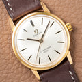 Omega Seamaster 600 Ref. 135.012 from 1965
