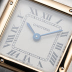 Cartier Panthère PM One-Row Gold & Steel Cartier Service 2026 Ref. 1057917