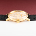 Omega Seamaster Automatic Crosshair Dial 18k Yellow Gold Ref. 14765 from 1959