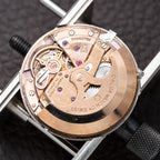 Omega Seamaster De Ville Automatic 18k with Racing Dial from 1963 Ross American Case