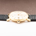 Omega Seamaster De Ville Automatic in 18k Yellow gold Ref 166.020 from 1964